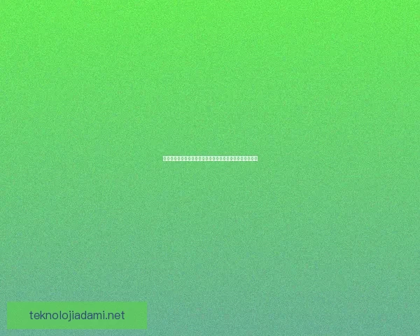 探险者装备全解析打造最佳生存与探索之路助你横跨未知世界